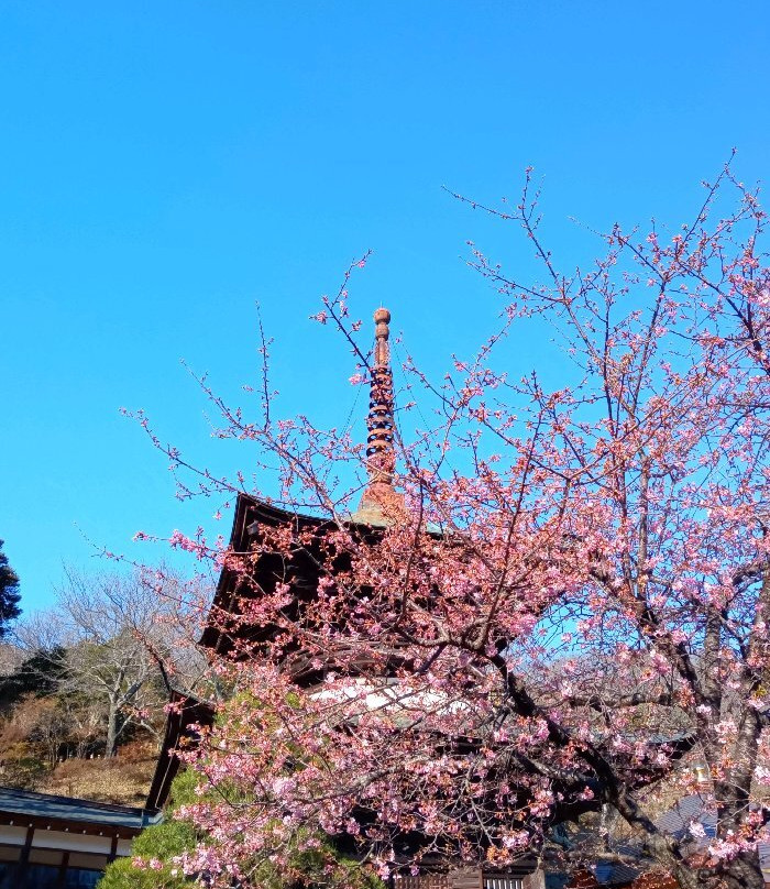 Amabiki Kannon-樱川市必去景点