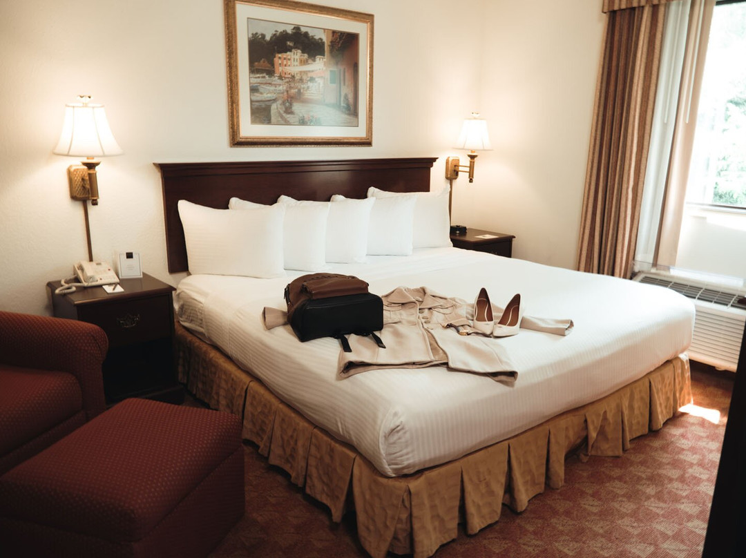 安阿伯丽晶套房酒店主图