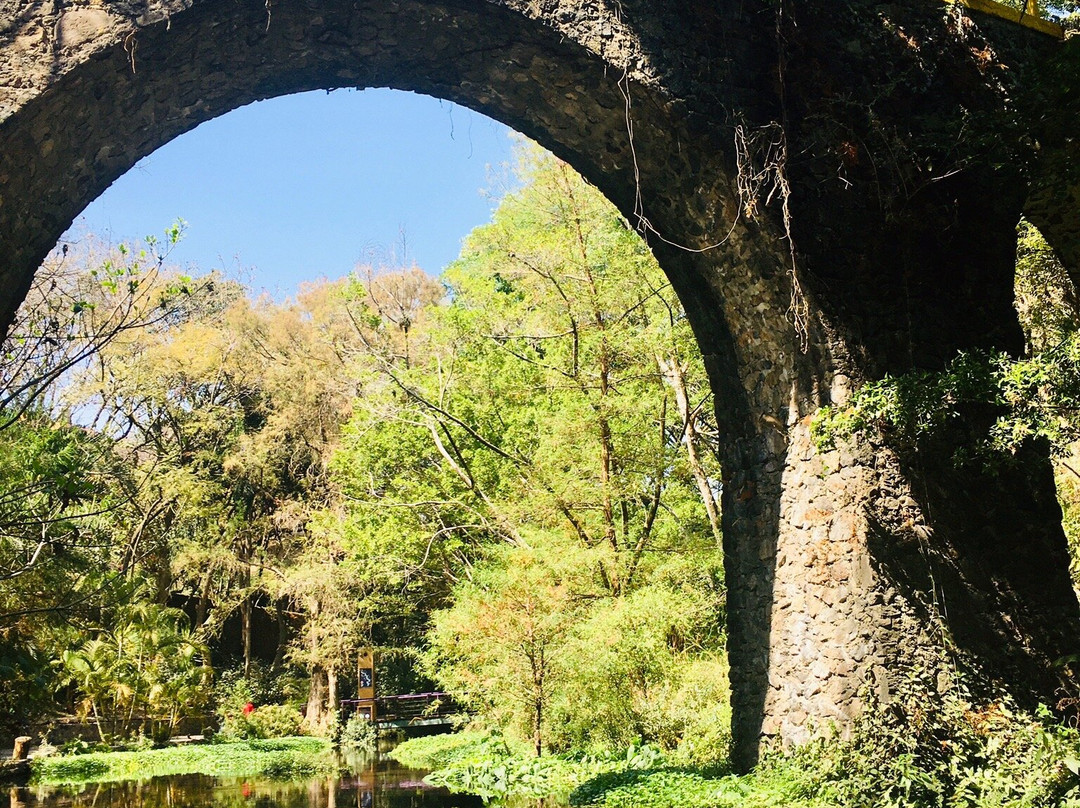 Parque Barranca Chapultepec景点图片
