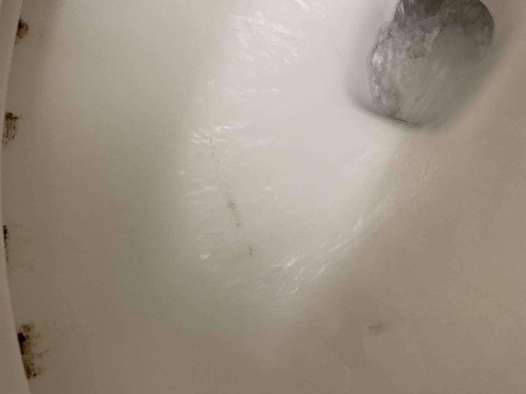 Quality Inn Zephyrhills - Dade City主图