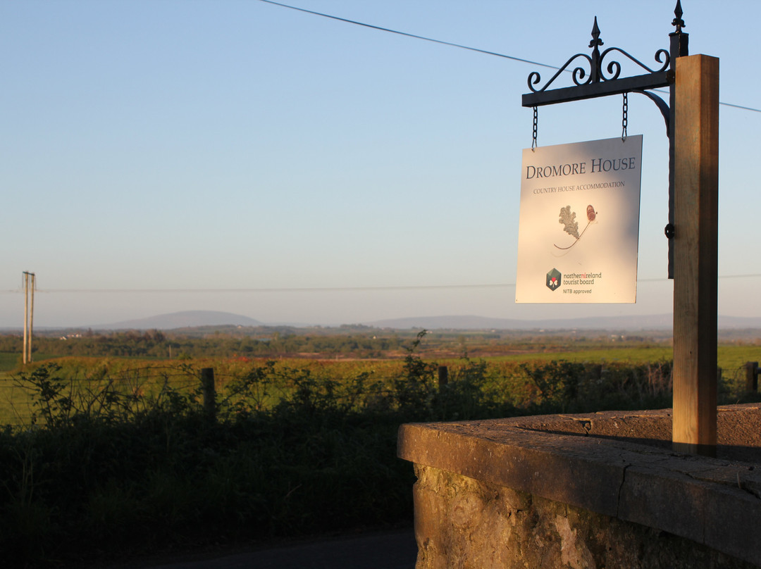 Dromore House Historic Country House主图