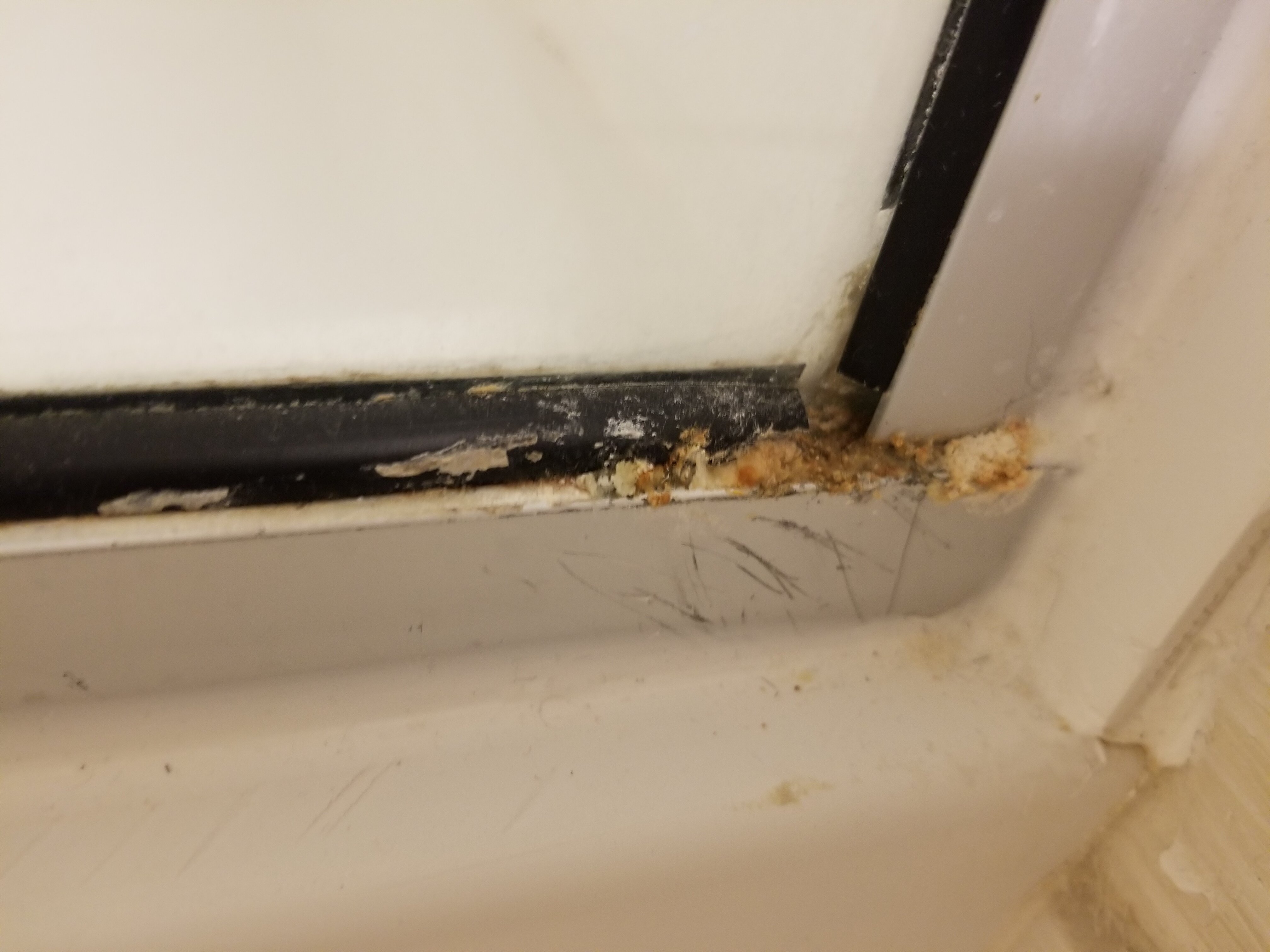 Fairfield by Marriott Inn & Suites Montgomery Airport South-浴室