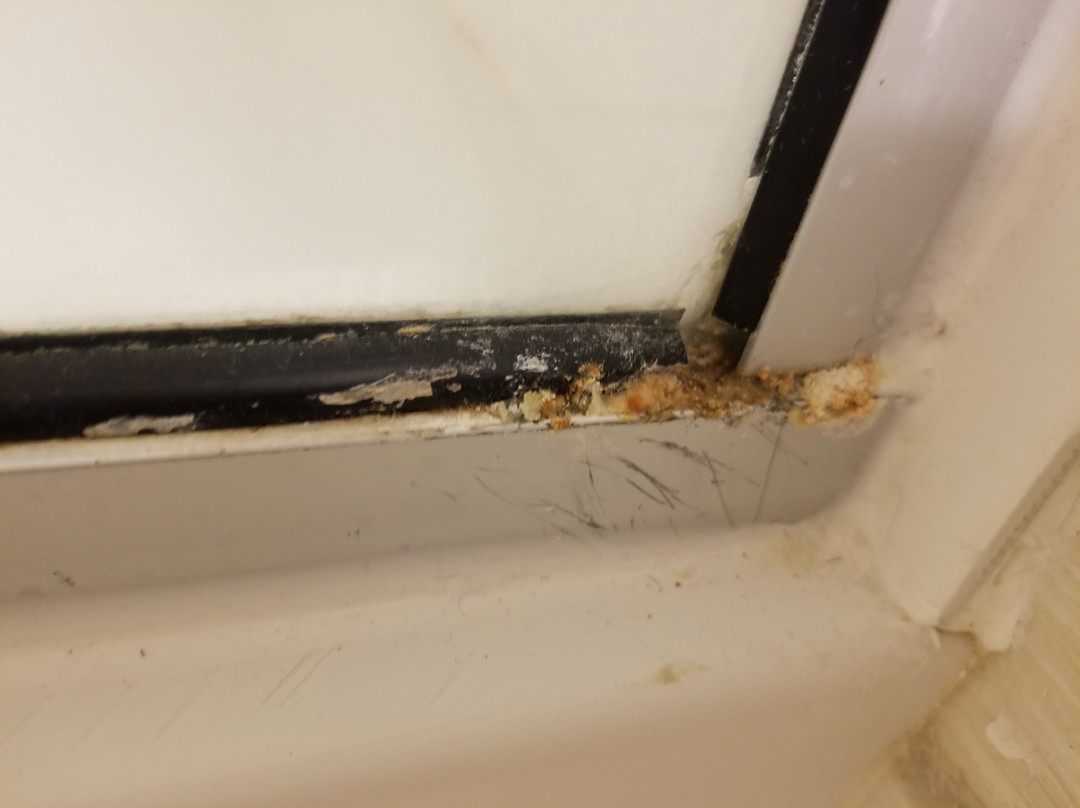 Fairfield by Marriott Inn & Suites Montgomery Airport South主图