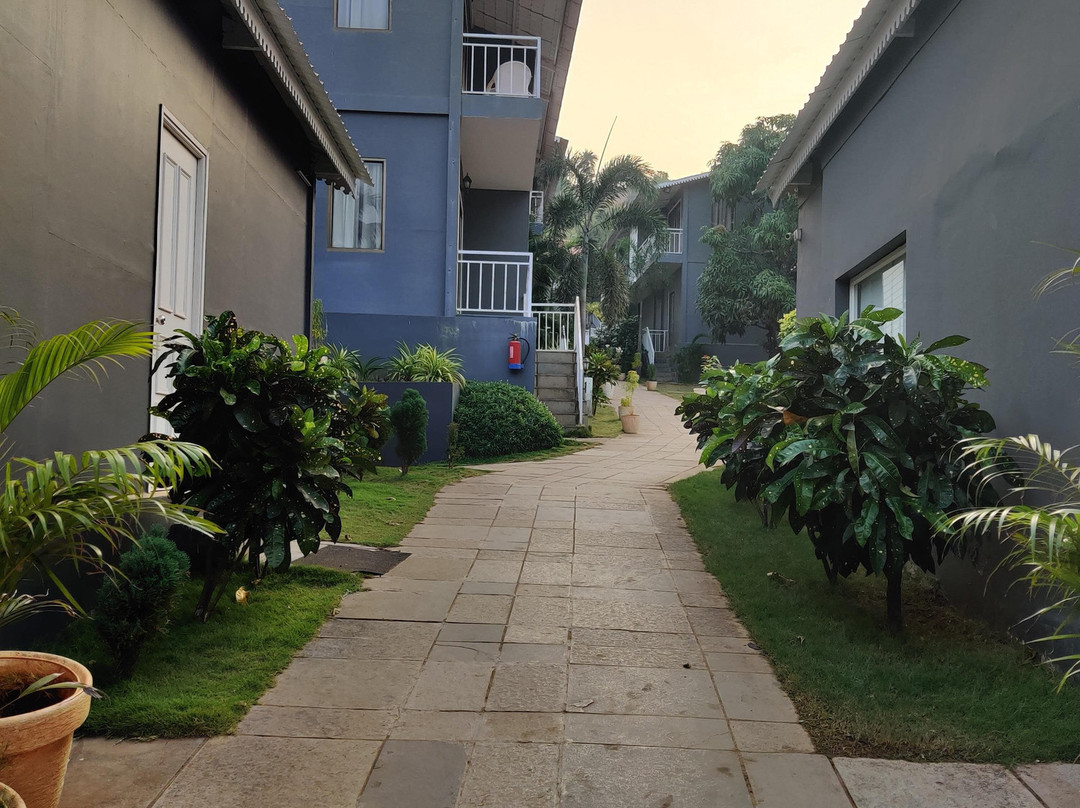 Oceans 7 Ashwem主图