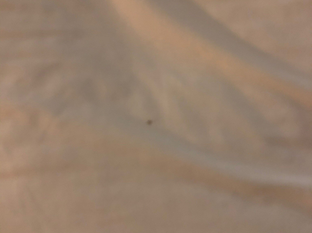 Holiday Inn Express & Suites Chaffee-jacksonville West By IHG主图