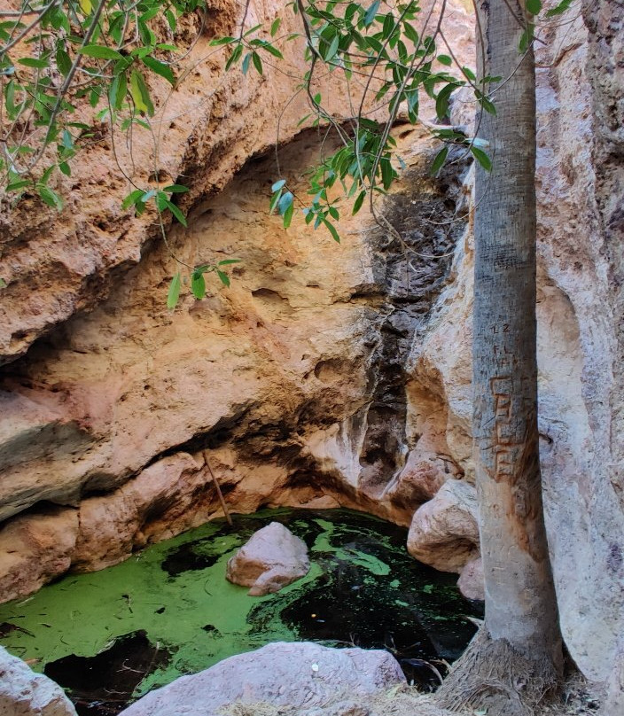 Nacapule Canyon-圣卡洛斯必去景点