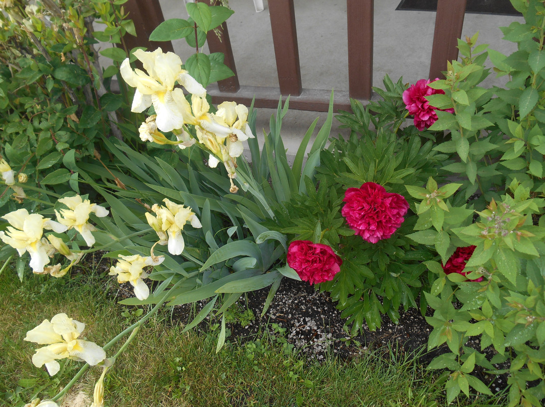 Mountain Spirit Inn主图