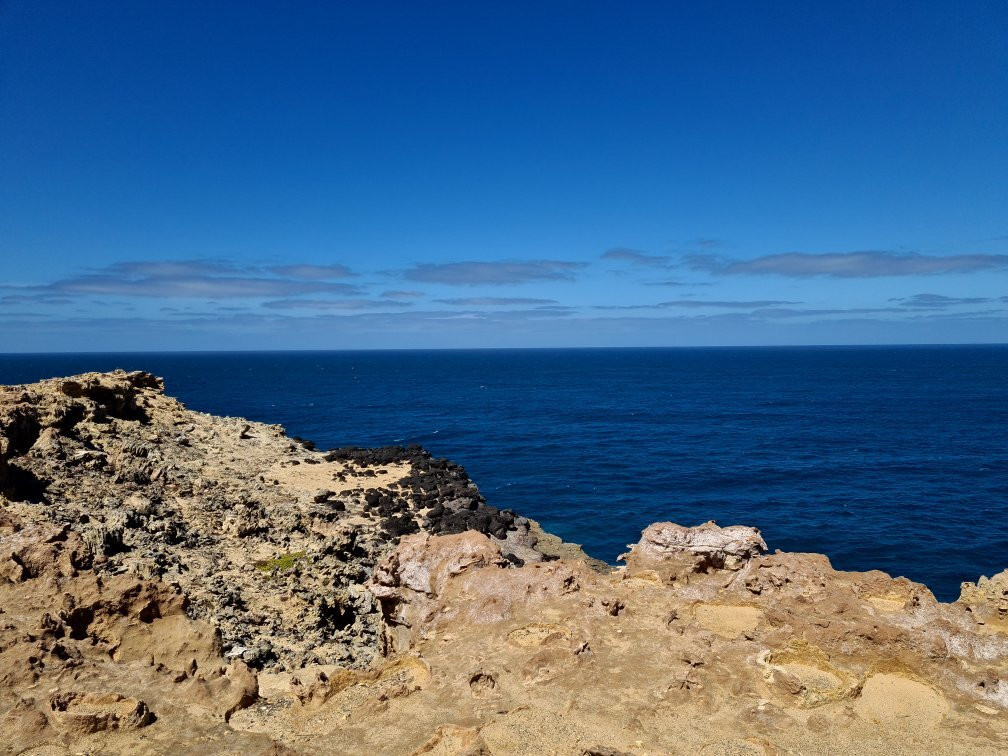 Petrified Forest and Blowholes-Cape Bridgewater必去景点