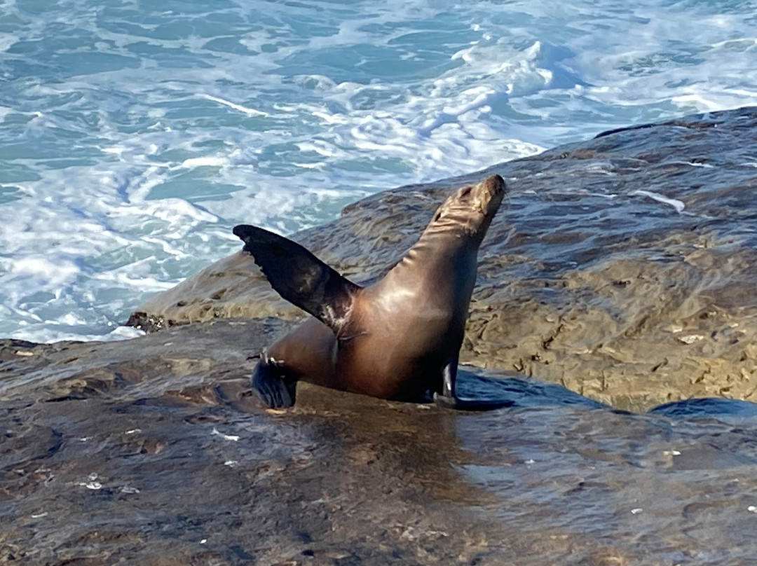 Scotty Cameron Gallery-圣地亚哥必去景点