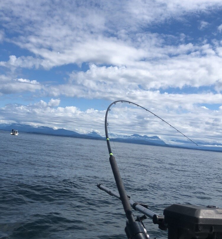 Top Guides Fishing Charters-坎贝尔里弗必去景点