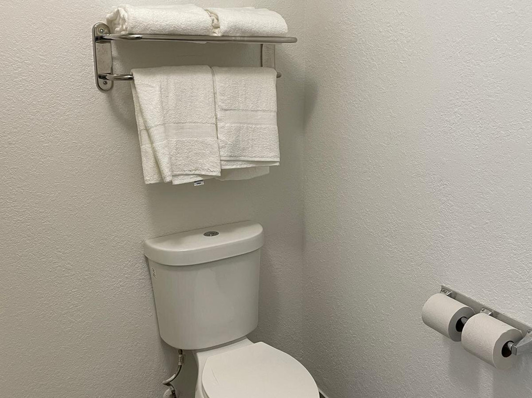 Comfort Inn & Suites主图