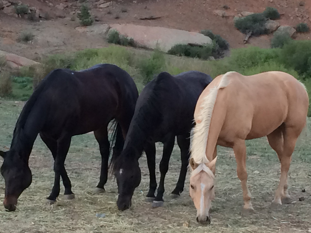 Tarryall River Ranch-Lake George必去景点