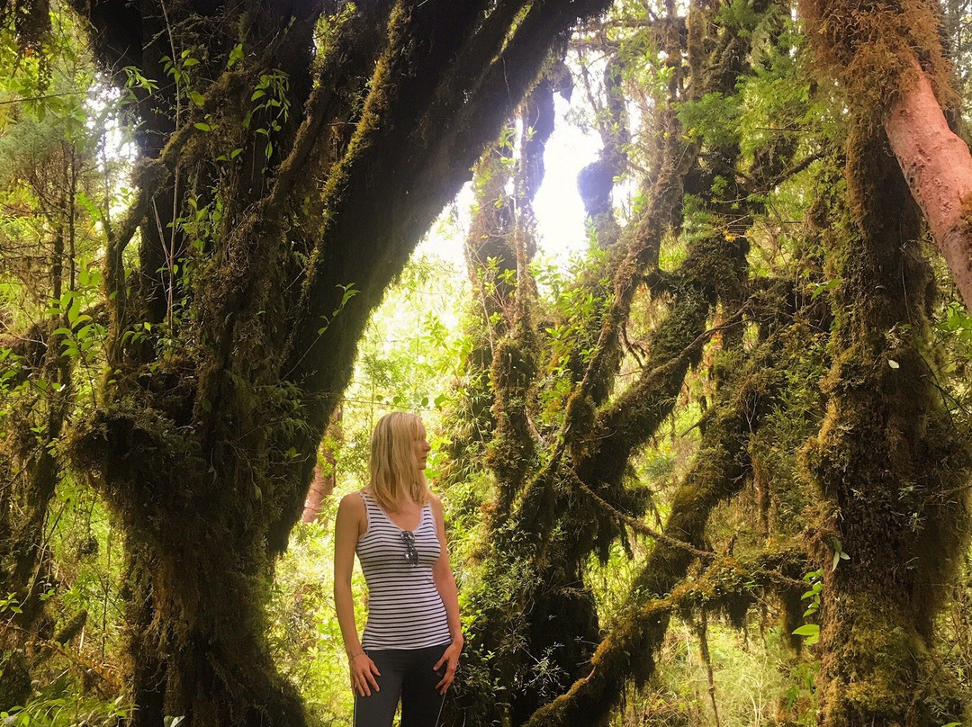 Sendero Cascadas Encondidas-百内国家公园必去景点