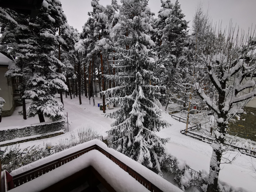 Hotel La Quiete主图