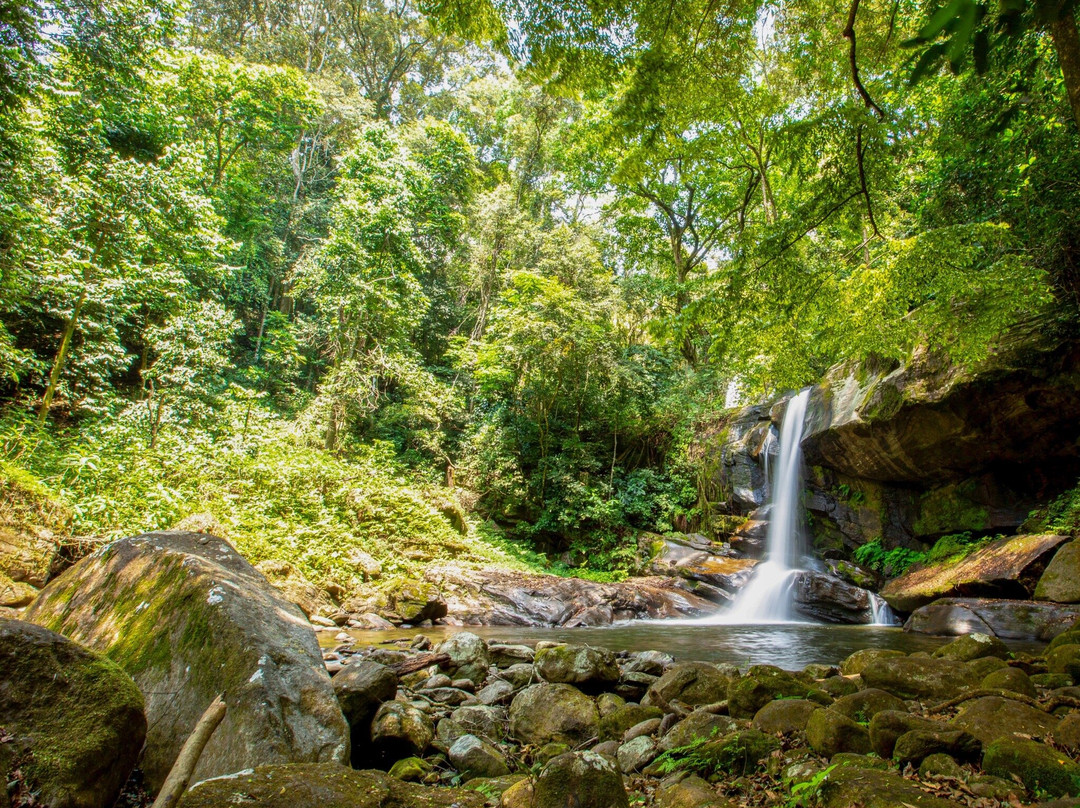 null-Udzungwa Mountains National Park