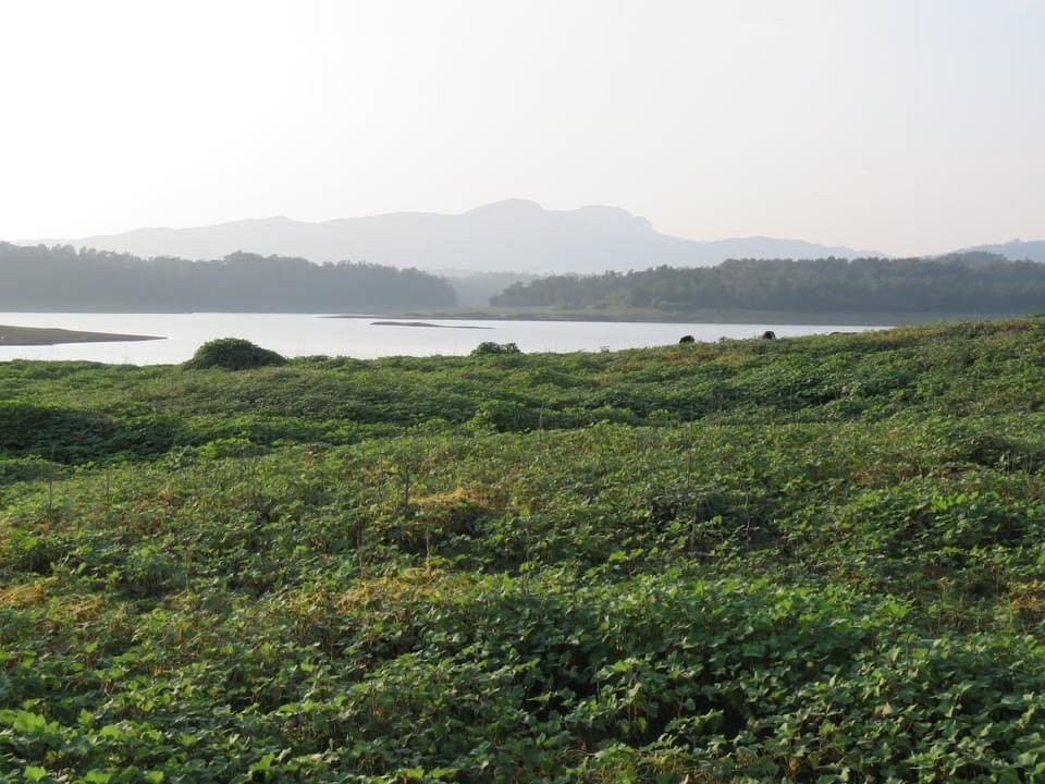 Harangi Backwaters景点图片