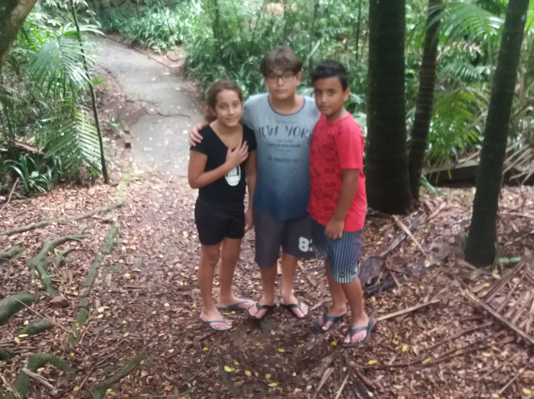 Ecological Park Alfredo Klinkert Junior-Maua必去景点