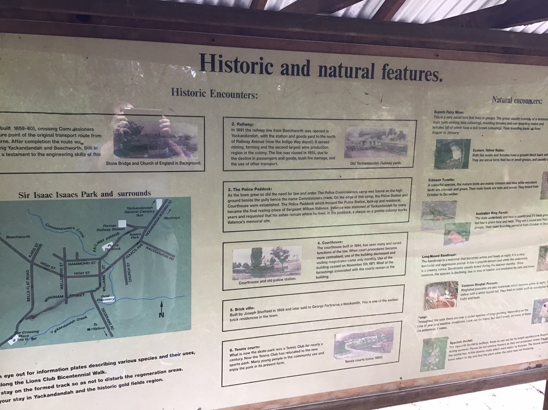 Sir Isaac Isaacs Palm Tree-Yackandandah必去景点