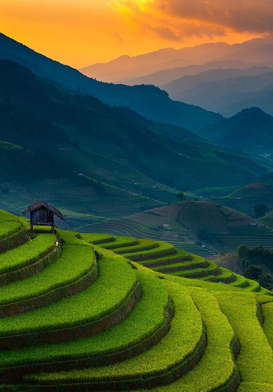 Mu Cang Chai-Yen Bai必去景点