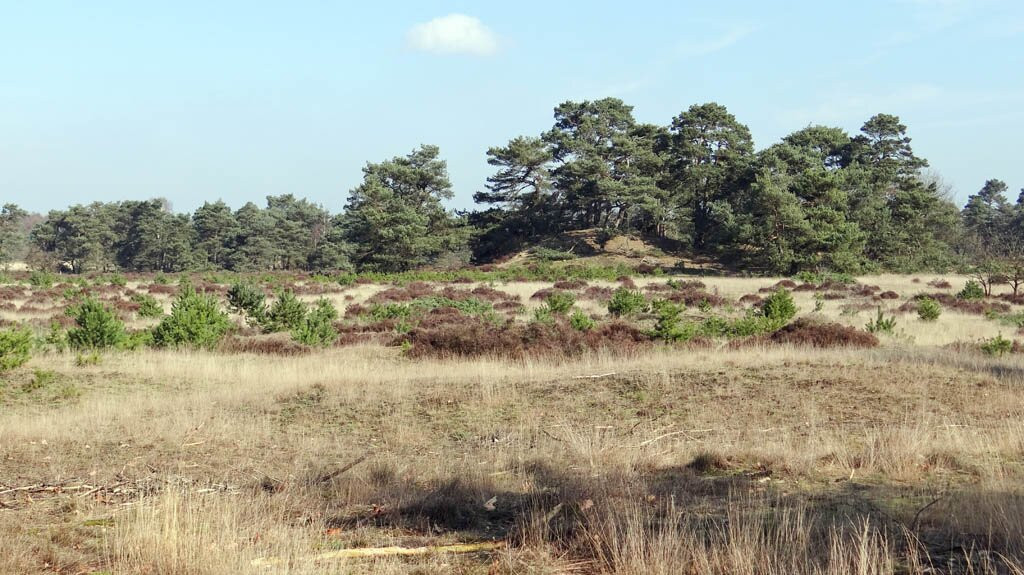 Kootwijkerzand-Kootwijk必去景点