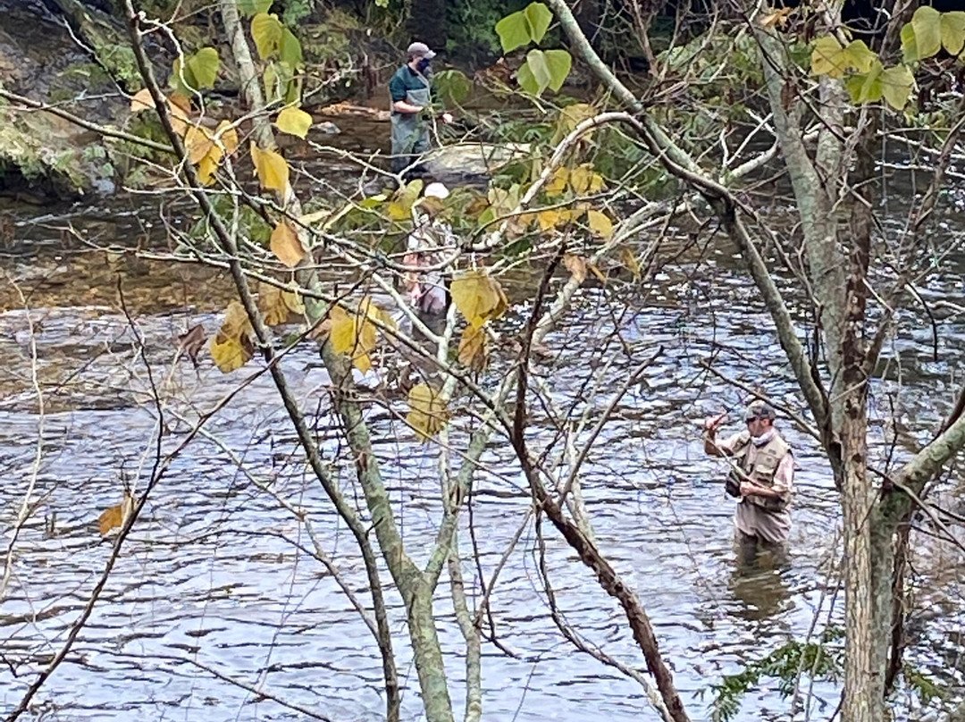 Chattahoochee River-海伦必去景点