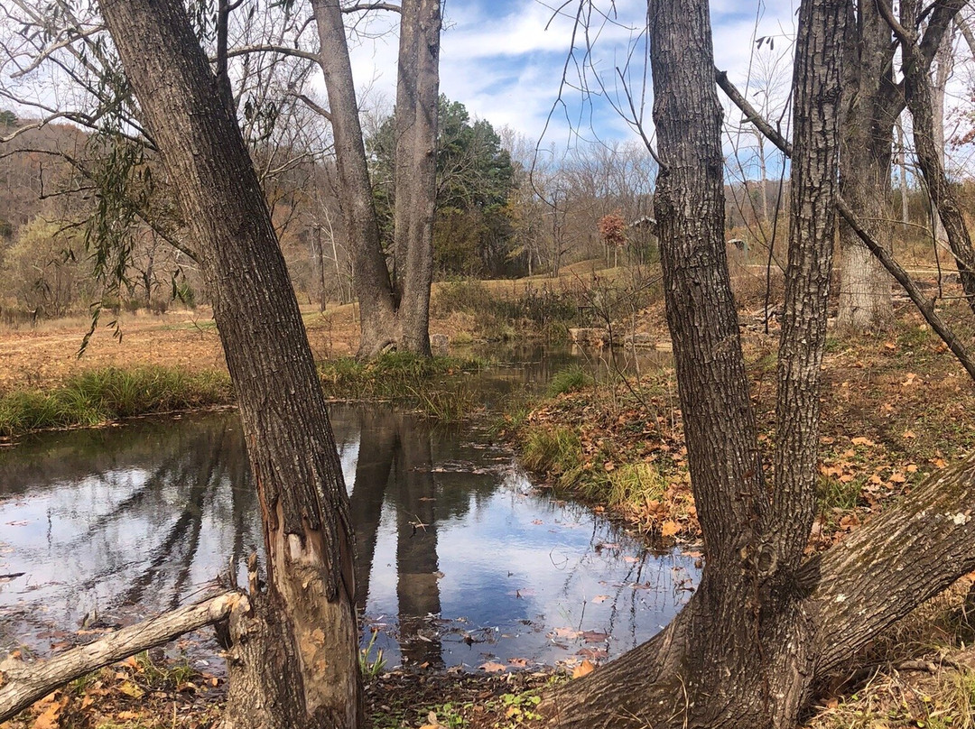 Echo Bluff State Park-Eminence必去景点
