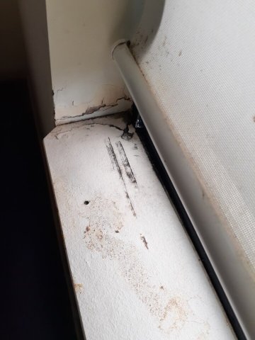 堪培拉帕克兰德中央公寓酒店-portrait