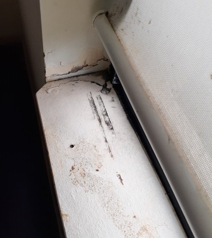 百斯特威斯登公园公寓酒店主图