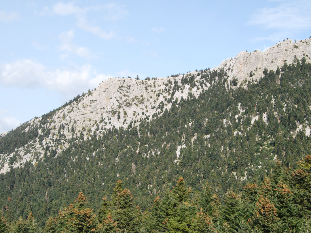 Elatos Resort & Health Club主图