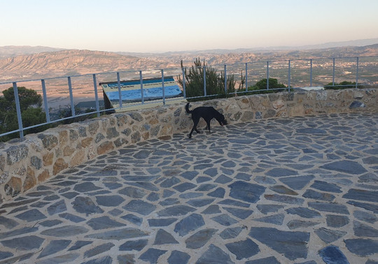 Mirador Cabezo de la Caracola