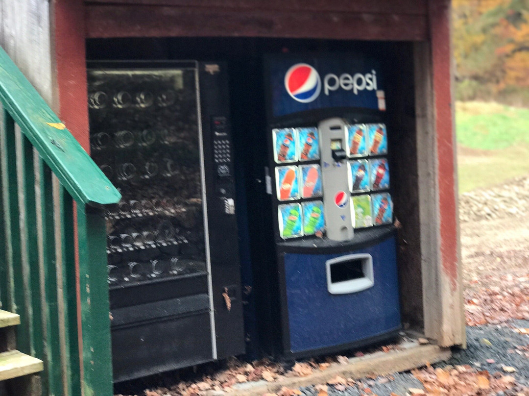 Mountain Harbour Bed and Breakfast主图