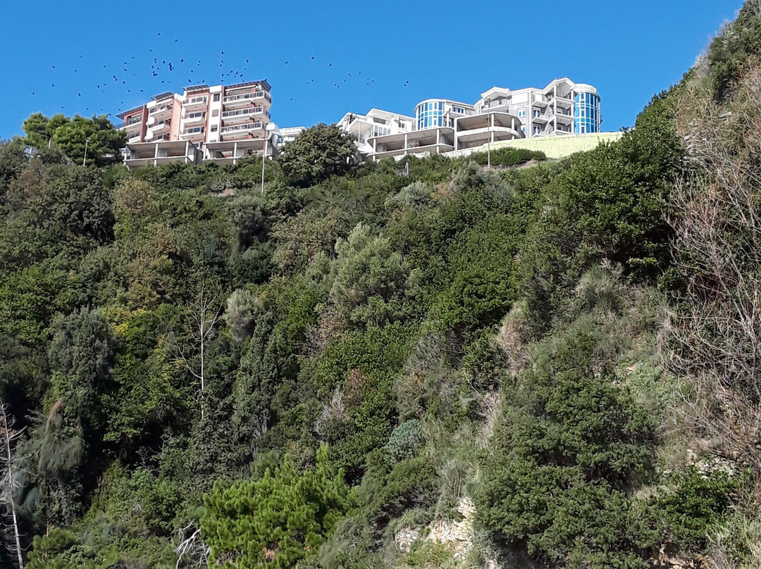 Fine-Car Doo-波德戈里察必去景点