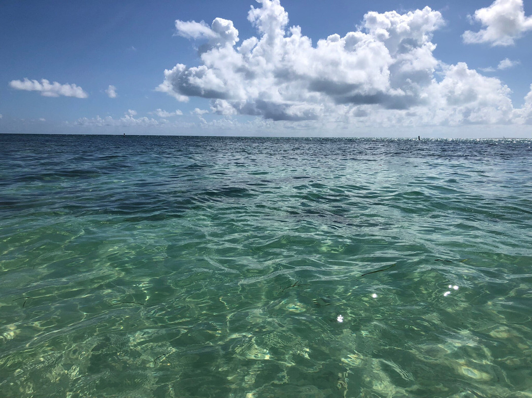 Reel Easy Charters-基韦斯特必去景点