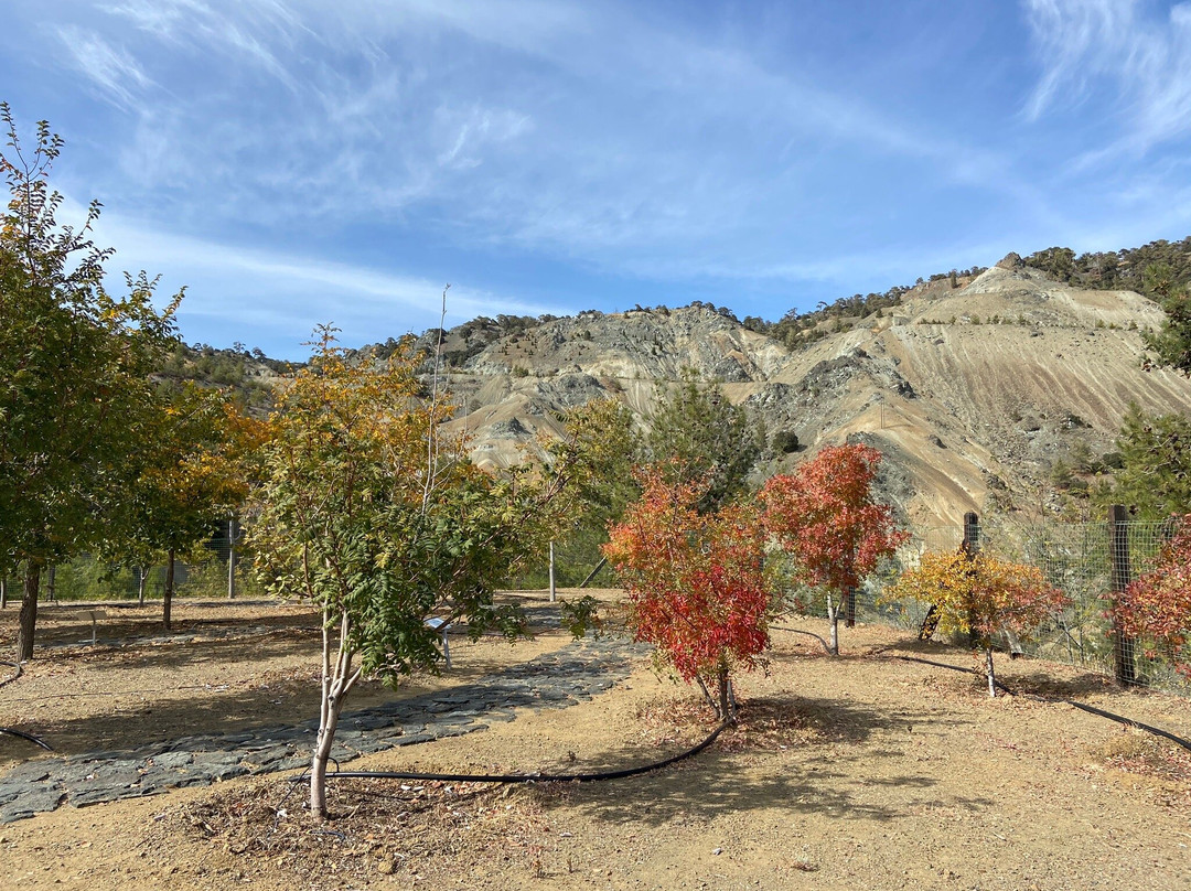 Troodos Botanical Garden-特罗多斯必去景点