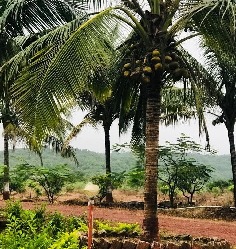 Green Echo Tourism Park主图