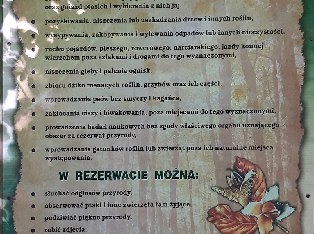 Rezerwat przyrody "Wiączyń"景点图片