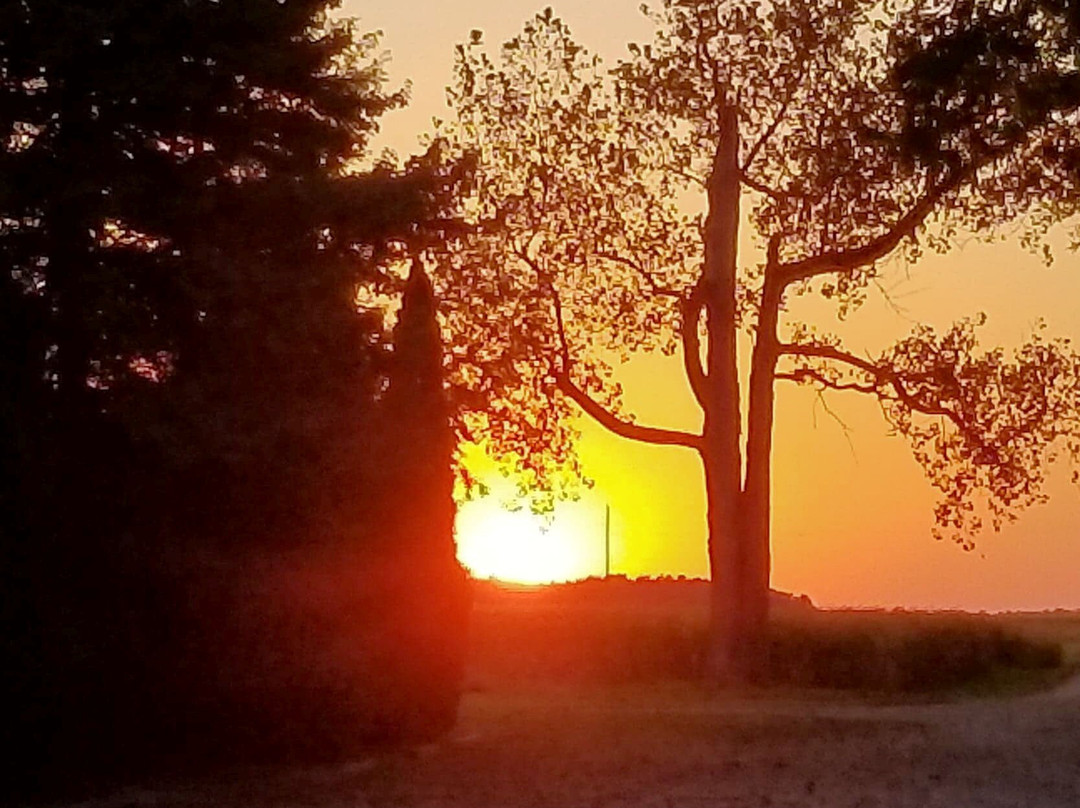 HideAway Country Inn主图