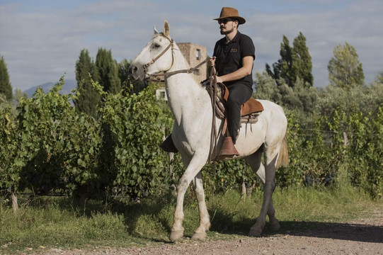 GAUCHO ESTATE-门多萨必去景点