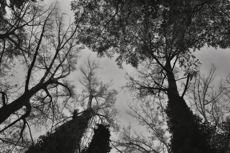 Biotopo Lago di Pudro-Pergine Valsugana必去景点