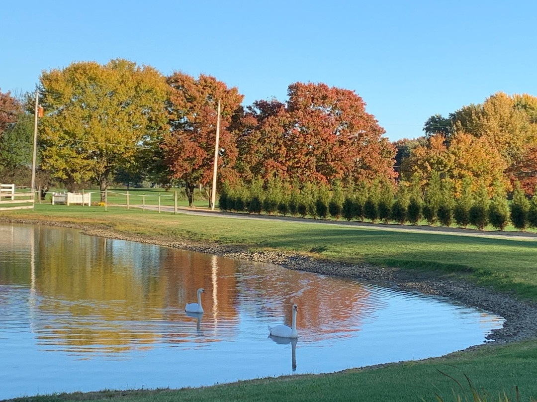 Quail's Covey Bed & Breakfast主图