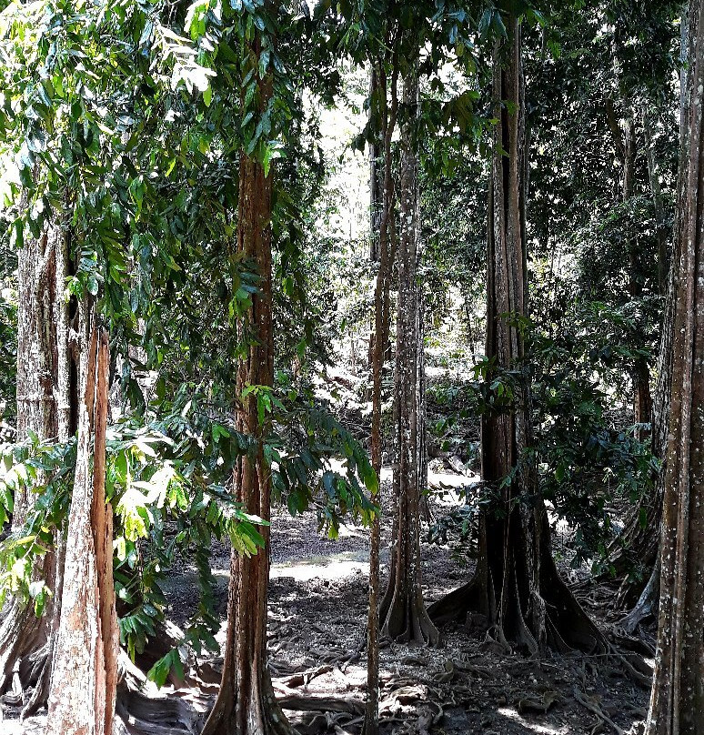 The Dales Hiking Trail-圣诞岛必去景点