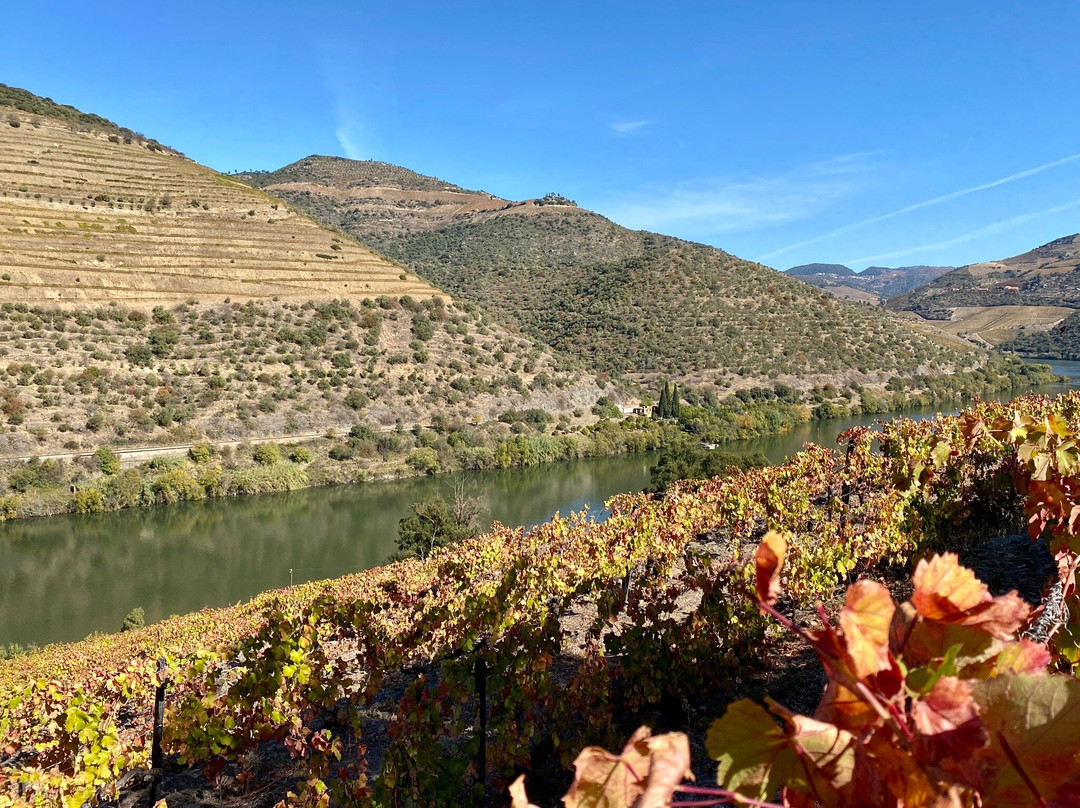 Quinta de S. Jose主图