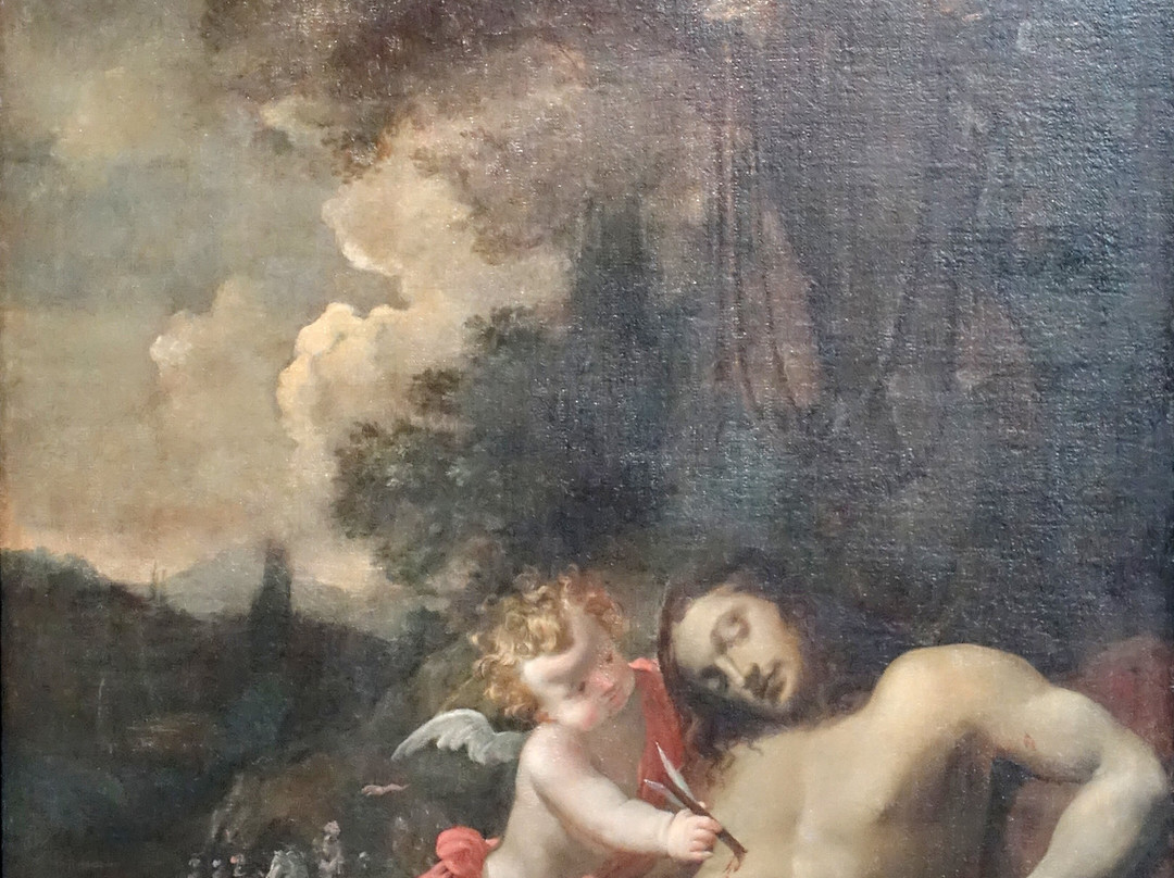 Musee Bossuet-莫城必去景点