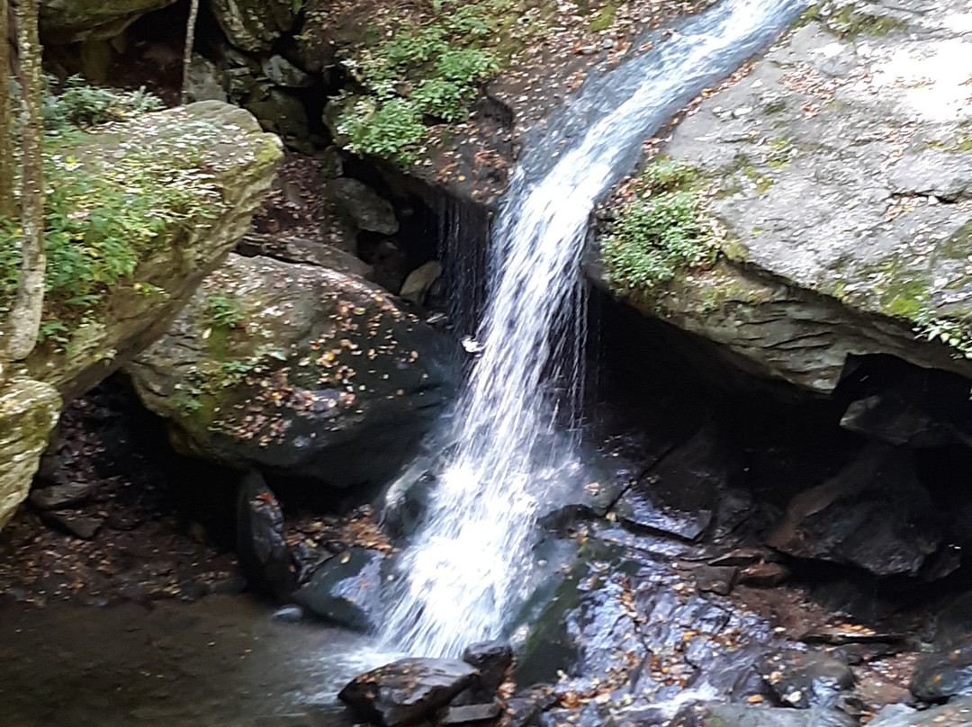 Otter Falls景点图片