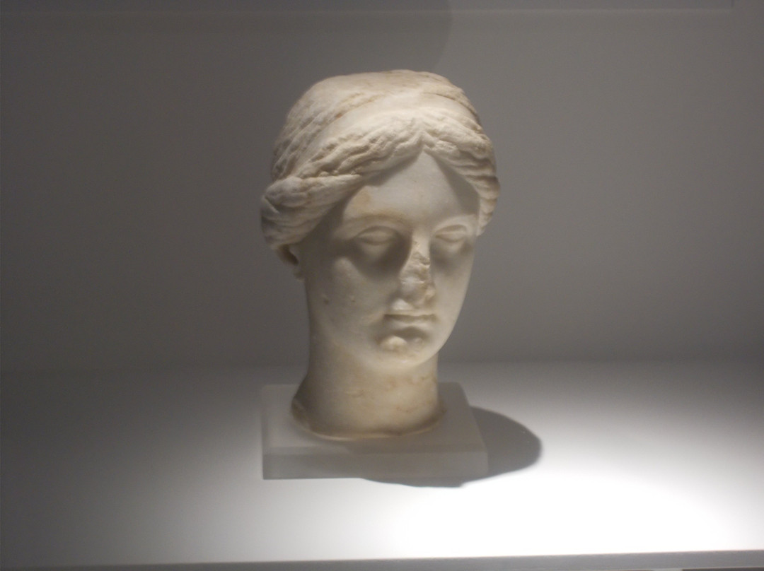 Limassol Archaeological Museum景点图片
