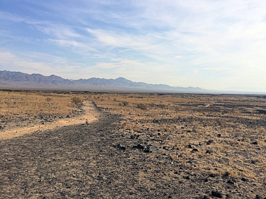 Amboy Crater-Amboy必去景点