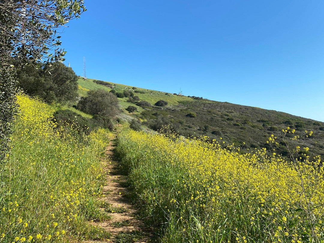 Tygerberg Nature Reserve-Parow必去景点