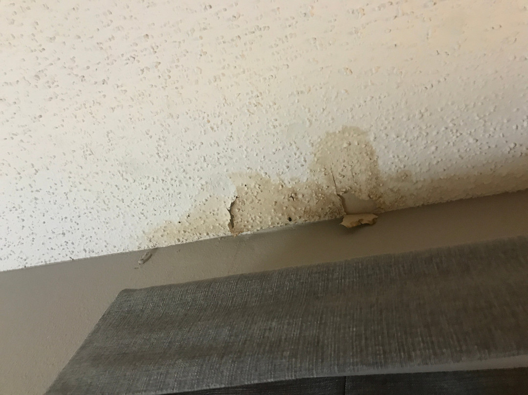 Wingate By Wyndham Shreveport Airport主图