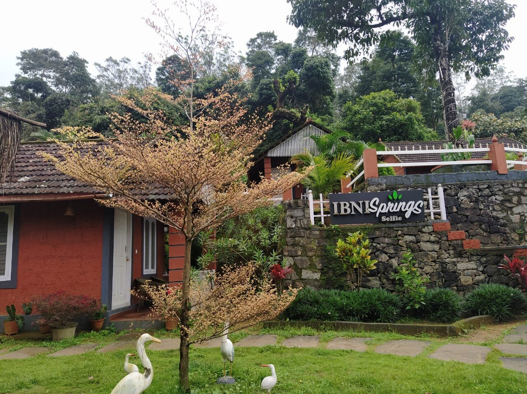 伊布尼斯普林斯酒店
