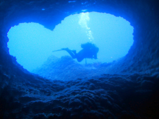 Porto Conte Diving Center-阿尔盖罗必去景点